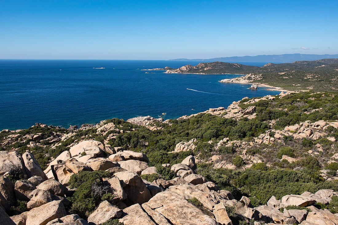 France, Corse du Sud, Campomoro, Tizzano, hiking on the coastal path in the Senetosa reserve, from the top of the Genoese tower the view goes far to the sea and the west coast of the island