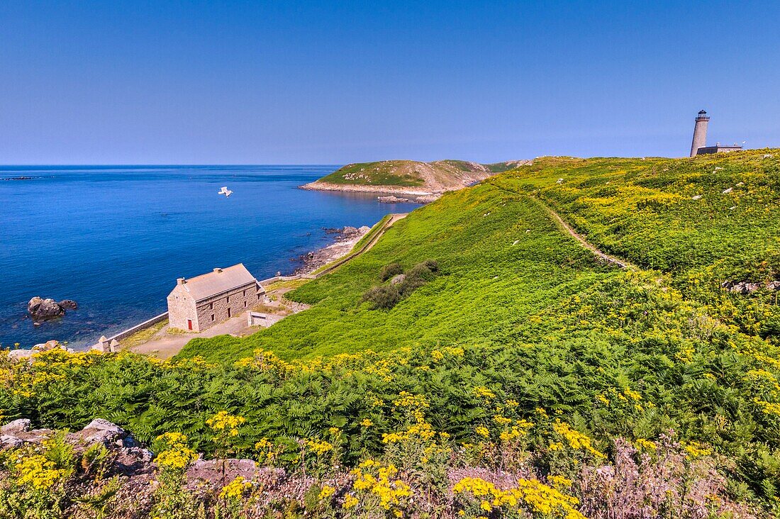 France, Cotes d'Armor, Perros Guirec, barracks of Fort of the island aux Moines in the nature reserve of Sept Îles