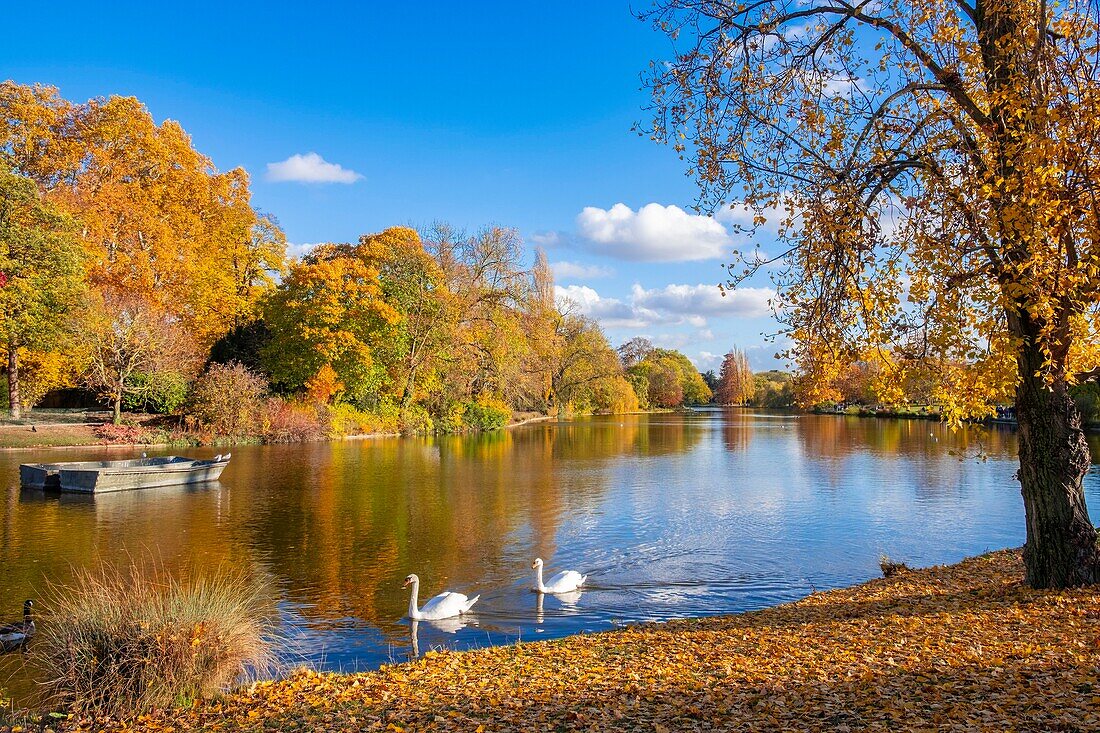 Frankreich, Paris, der Bois de Vincennes im Herbst, der Daumesnil-See