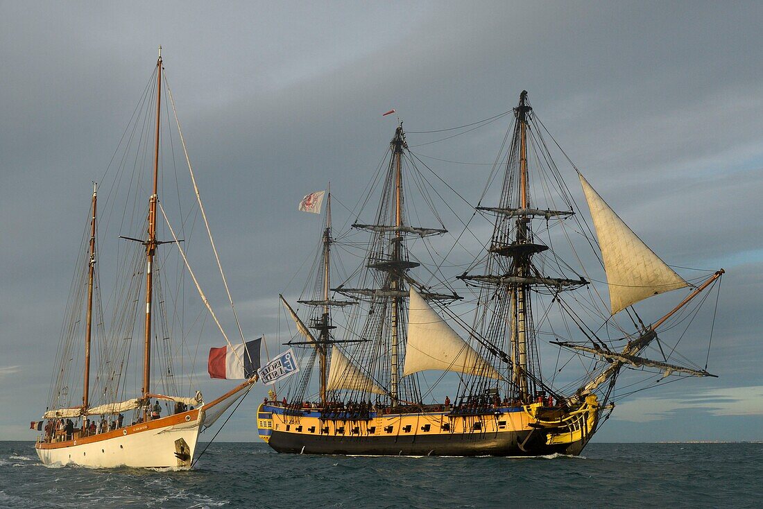 France, Herault, Sete, Escale a Sete festival, party of the maritime traditions, parade of boats at sea with the frigate the Hermione