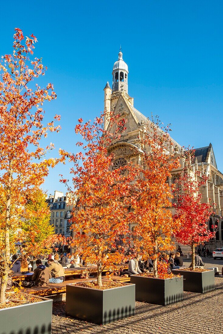 Frankreich, Paris, der Platz des Pantheon im Herbst