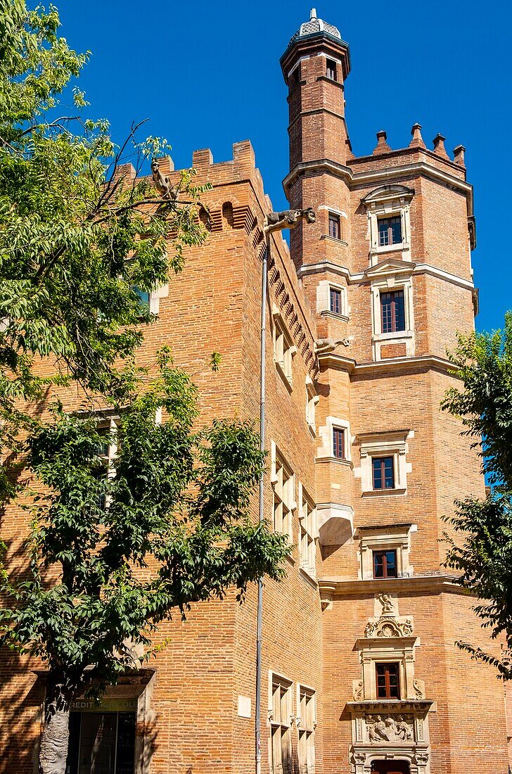 France, Haute Garonne, Toulouse, Carmes district, Dahus mansion, Tournoer tower