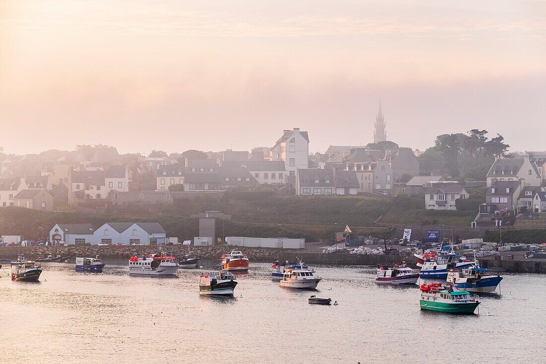 France, Finistere, Le Conquet in the morning mist, fishing port in the marine natural park of Iroise