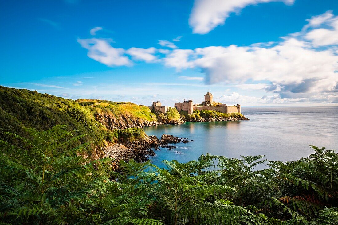 France, Cotes d'Armor, Plevenon, Fort la Latte or Roche Goyon castle, is a 14th century fortress at the Pointe de la Latte, close to Frehel Cape