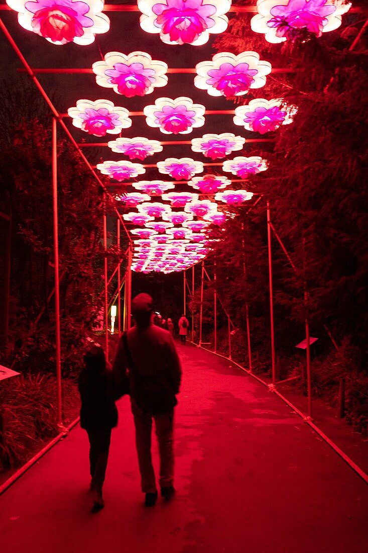 Frankreich, Paris, Jardin des Plantes, Erstes Lichterfest, Arten im Prozess der Erleuchtung