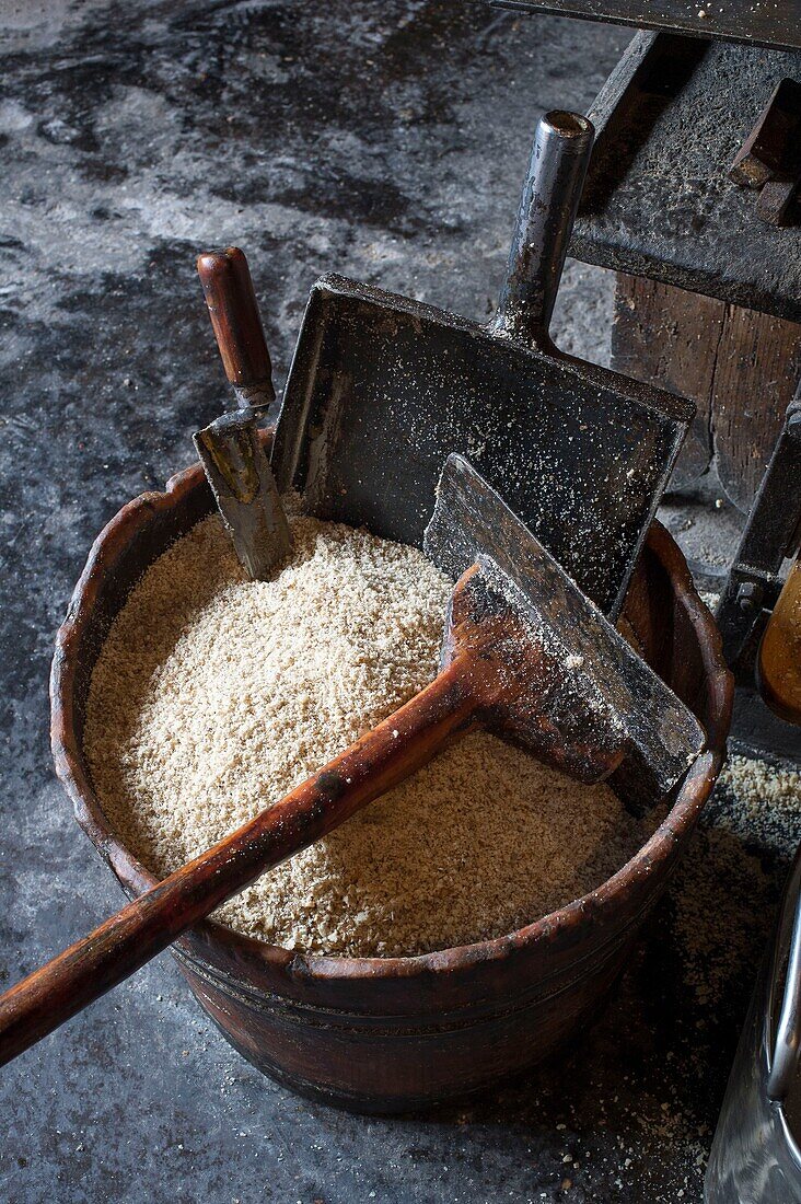 France, Haute Savoie, Seyssel, Berger oil mill, the pulp consisting of crushed kernels is collected in an old patinated wooden bucket by use, still life of the tools of the cruet