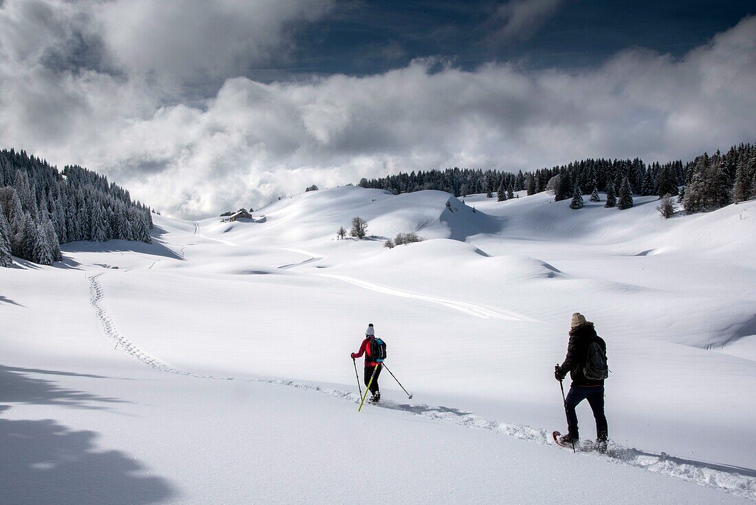 Frankreich, Jura, GTJ große Juradurchquerung auf Schneeschuhen, Wanderer in der Combe des Loges