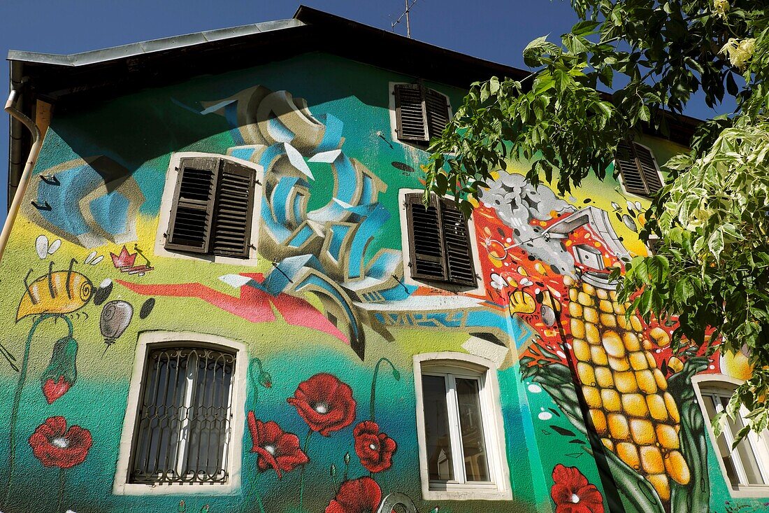 France, Haut Rhin, Altkirch, Rue des Boulangers, park, fresco on the facade of a house