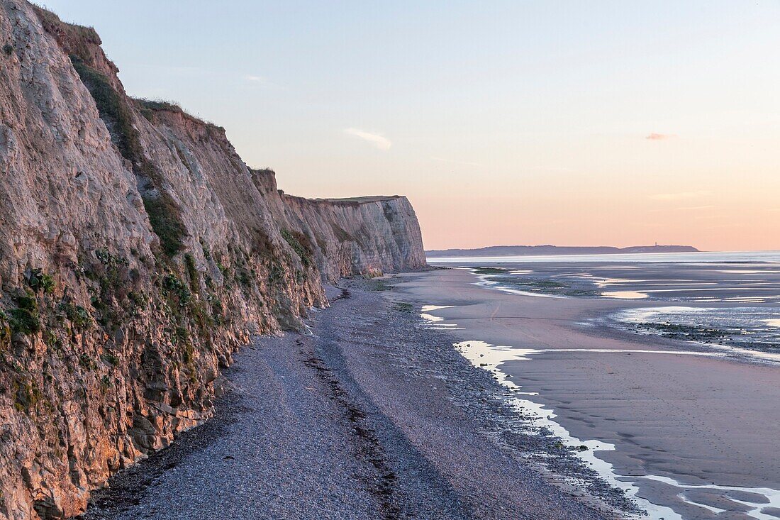 France, Pas de Calais, Cote d'Opale, Regional Natural Park of the Caps and Opal Marsh, Cap Blanc Nez, limestone cliffs