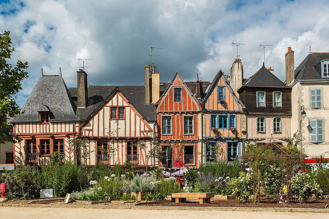 France, Morbihan, Vannes, half timbered facades on the marina