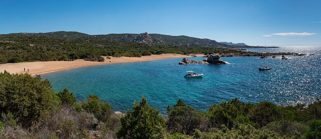 France, Corse du Sud, Campomoro, Tizzano, hiking on the coastal path in the Senetosa reserve, panoramic view of the Tivella bay and the unspoiled coast