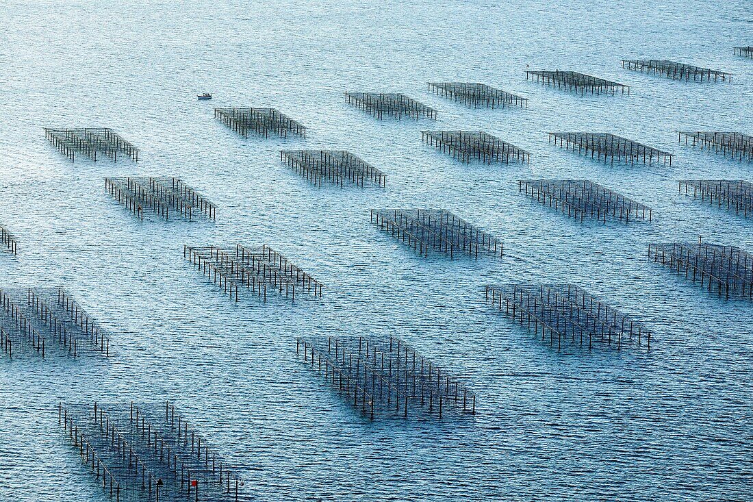 Frankreich, Bouches du Rhone, Port Saint Louis du Rhone, Carteau Bucht, Muschelpark (Luftbild)