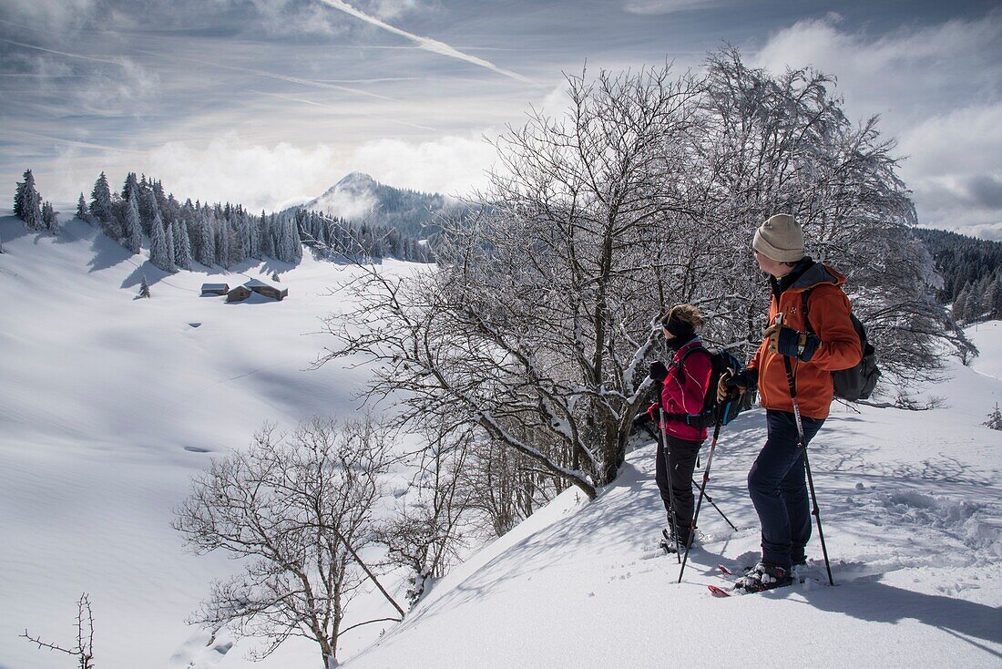 Frankreich, Jura, GTJ, große Juradurchquerung auf Schneeschuhen, Passage von Wanderern am Fuß des Merle-Kamms