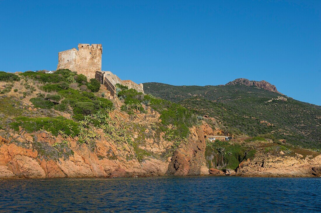 France, Corse du Sud, Porto, Gulf of Porto listed as World Heritage by UNESCO, the Genoese tower of the village of Girolata accessible by boat or on foot