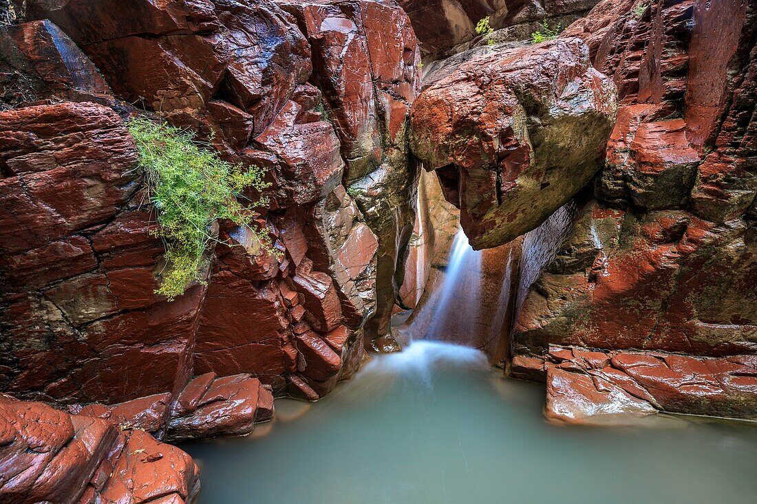 France, Alpes Maritimes, Mercantour National Park, Haut Var valley, torrent in the red pelites rocks of the Daluis Gorge