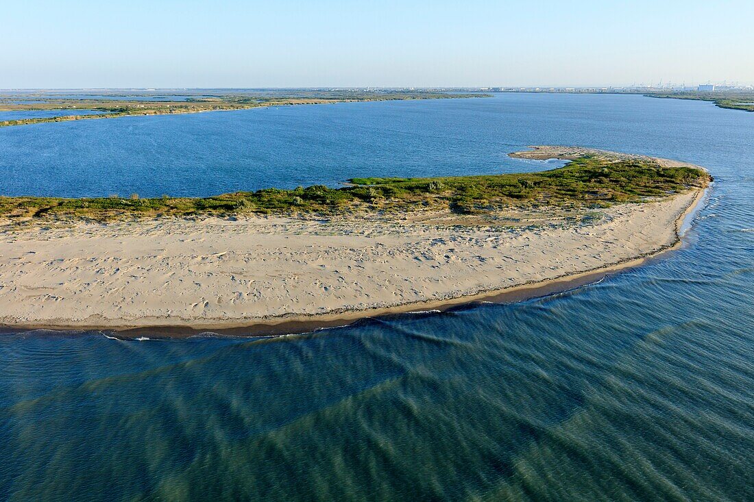 France, Bouches du Rhone, Regional Natural Park of Camargue, Arles, end of the beach of Piémanson, mouth of the Rhone (aerial view)