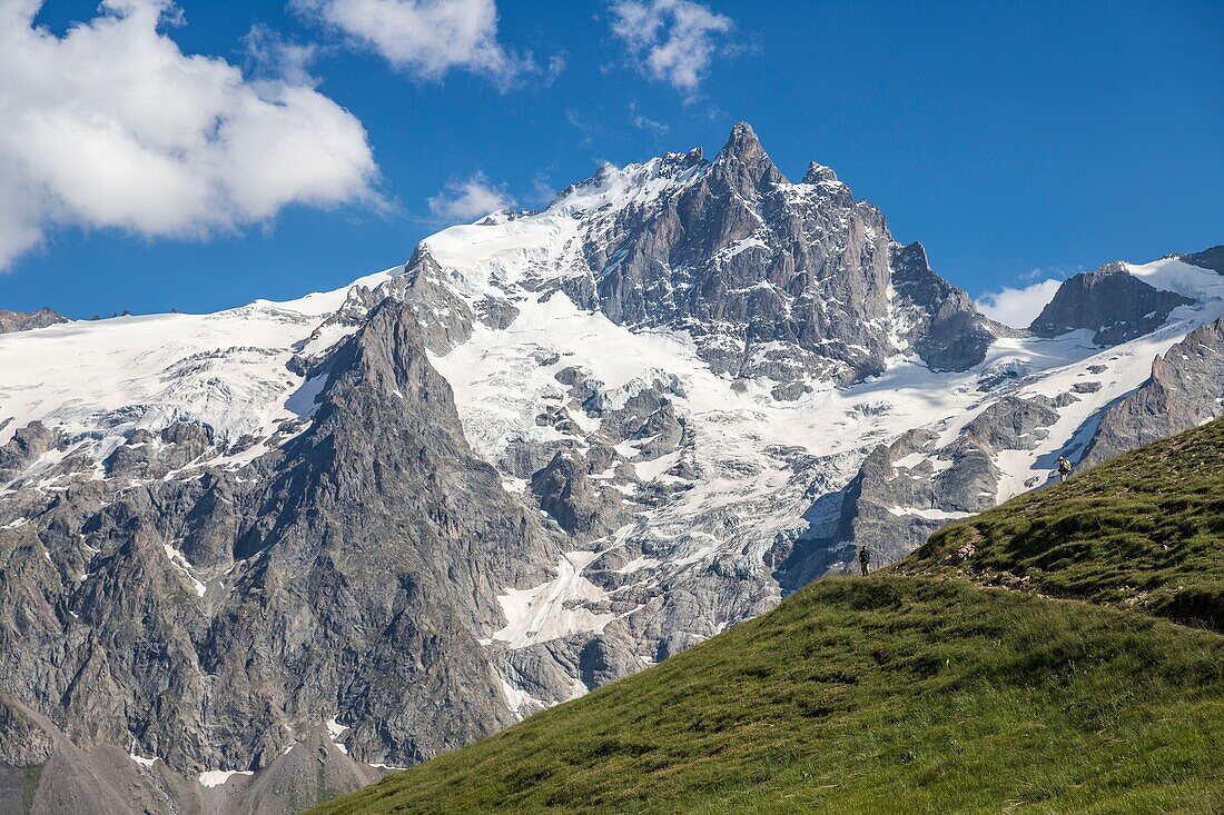 France, Hautes Alpes, Ecrins National Park, the Grand Pic de La Meije (3983m) and its glacier, hikers on the GR 50 GR 54