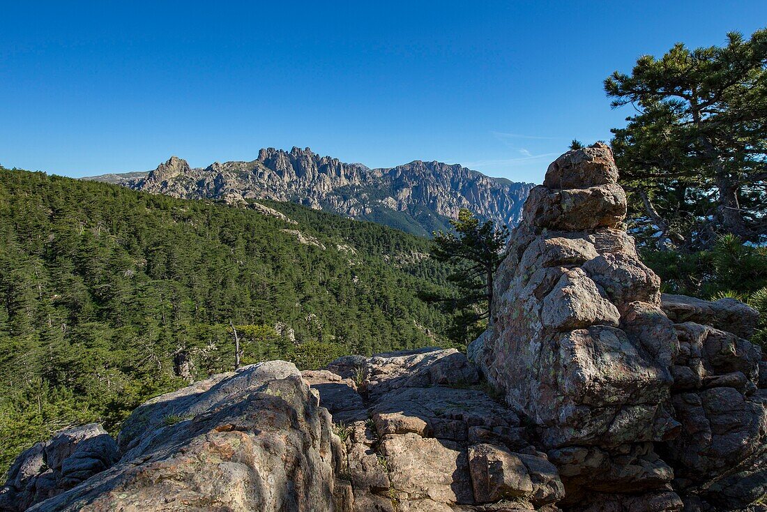 France, Corse du Sud, Alta Rocca, Bavella pass, hike to the bomb hole, U Tafunu di u Compuleddu