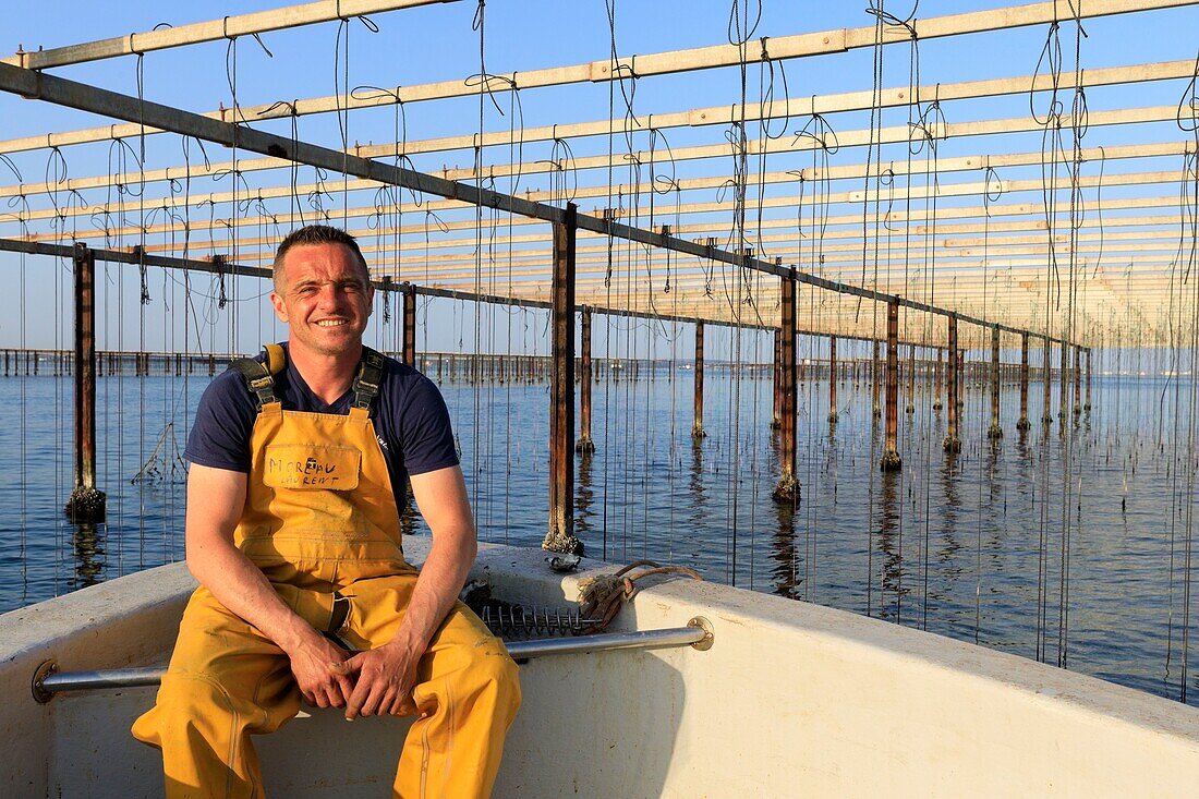 France, Bouches du Rhone, Port Saint Louis du Rhone, Carteau Cove, oyster farm, La Perle de Carteau, breeder Laurent Moreau