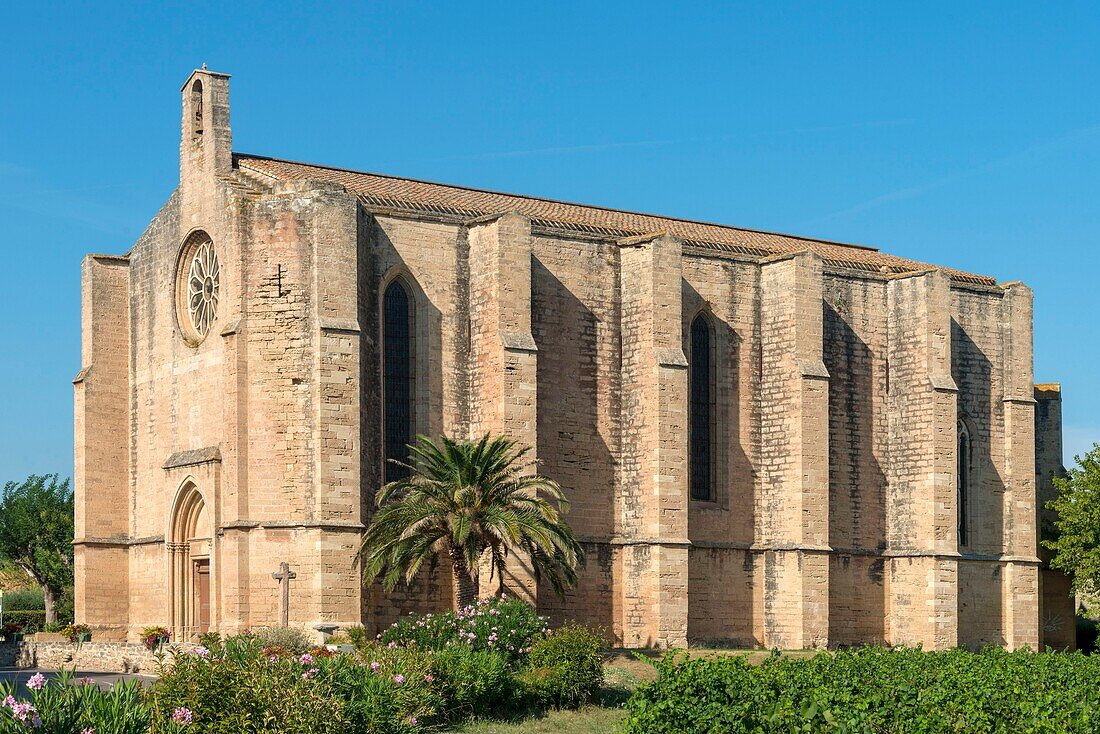 Frankreich, Hérault, Loupian, Kirche saint-Cecile aus dem XIV. Jahrhundert im gotischen Stil aus dem Languedoc