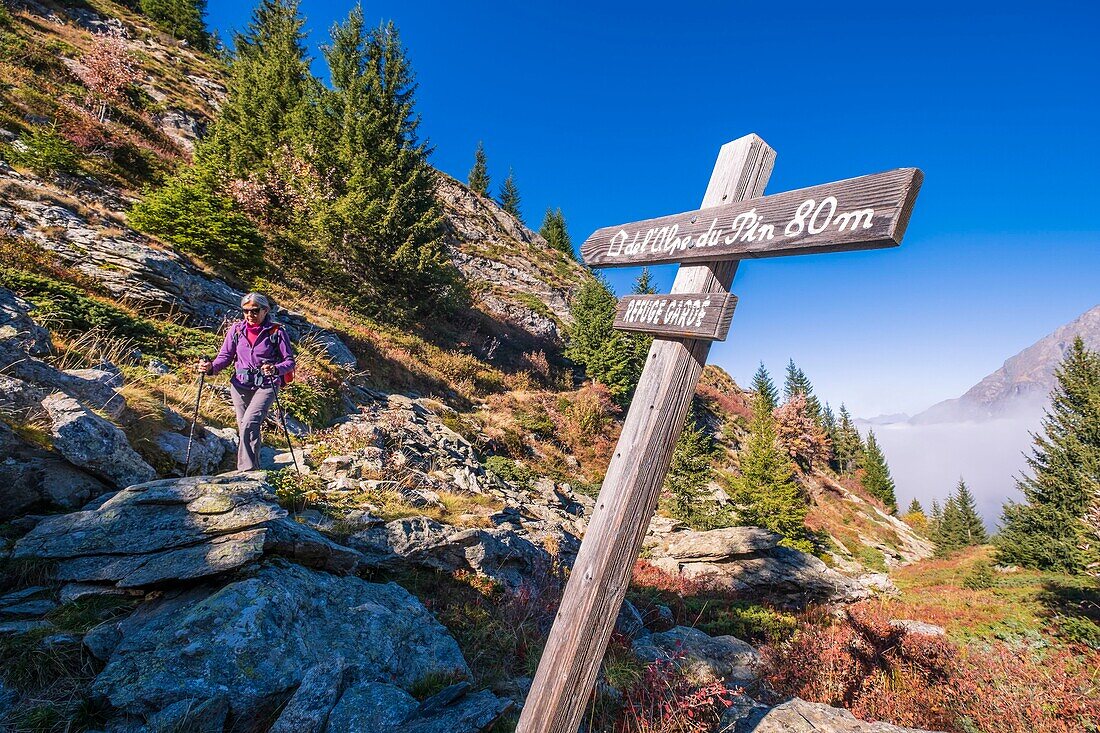 France, Isere, Ecrins National Park, Veneon valley, hike from Saint-Christophe-en-Oisans to the refuge of L'Alpe du Pin