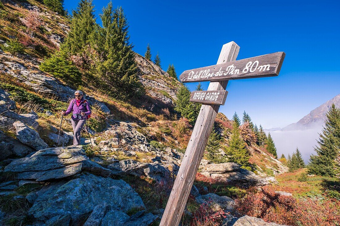 Frankreich, Isere, Nationalpark Ecrins, Veneon-Tal, Wanderung von Saint-Christophe-en-Oisans zur Hütte von L'Alpe du Pin