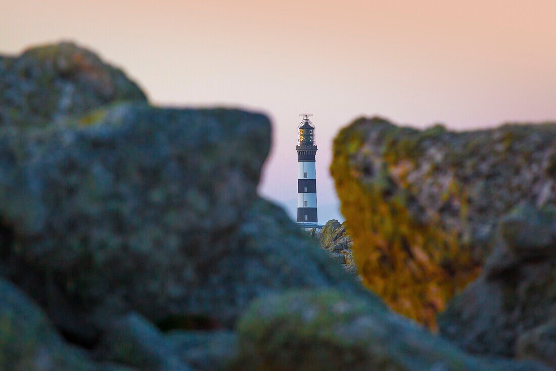 France, Finistere, Ponant Islands, Armorica Regional Nature Park, Iroise Sea, Ouessant Island, Biosphere Reserve (UNESCO), Créac'h Lighthouse behind the Rocks