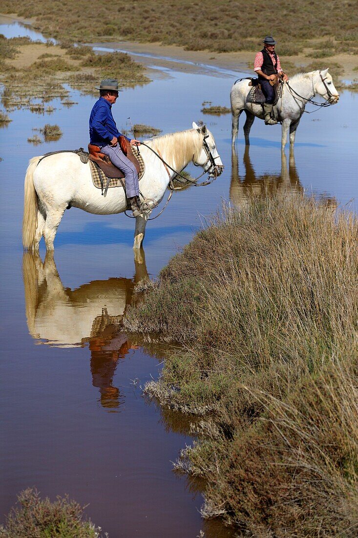 France, Bouches du Rhone, Camargue Regional Nature Park, Saintes Maries de la Mer, Domaine du Grand Rafeau, Manade Raynaud