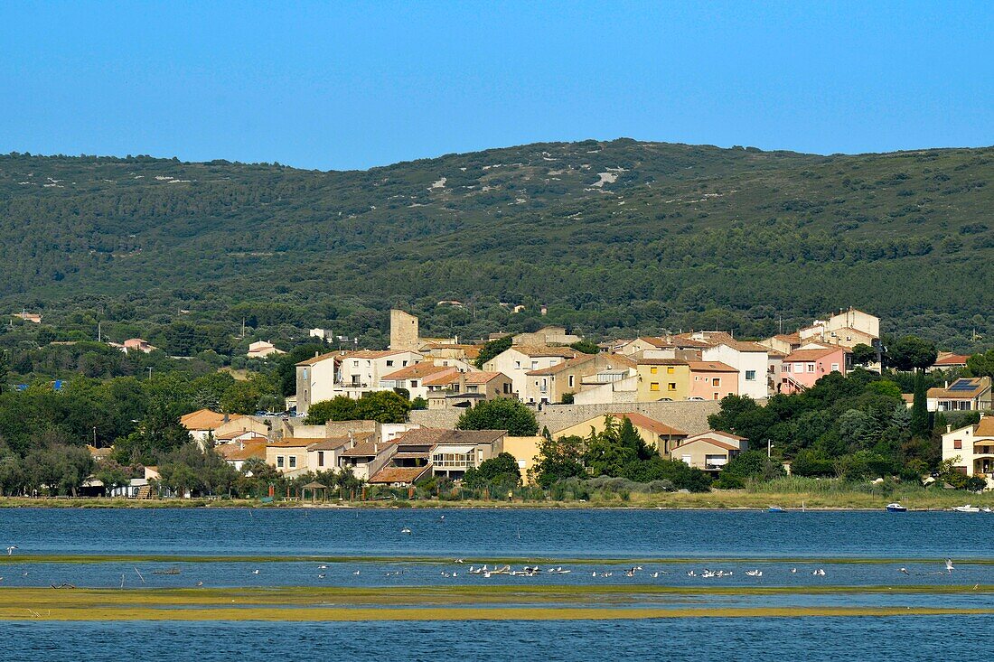 Frankreich, Herault, Balaruc-le-Vieux, Blick auf ein Dorf mit der Lagune von Thau im Vordergrund