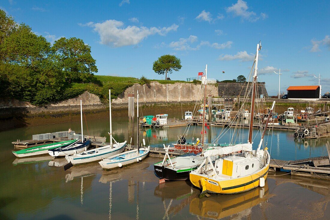 France, Charente Maritime, Oleron isle, Chateau d'Oleron, port and citadel