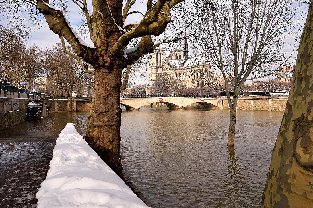 Frankreich, Paris, von der UNESCO als Weltkulturerbe eingestuftes Gebiet, die Ufer der Seine, die Seine im Hochwasser am Quai de la Tournelle und die Kathedrale Notre Dame unter dem Schnee auf der Ile de la Cité