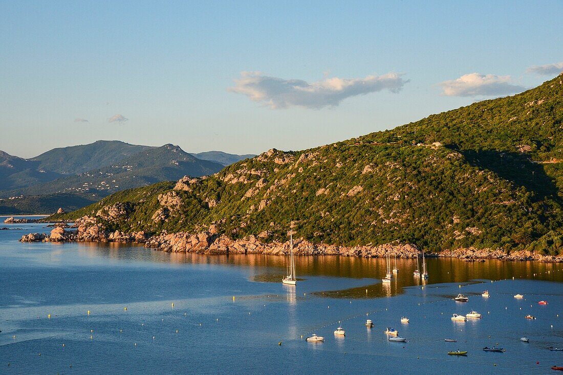 Frankreich, Corse du Sud, Campomoro, eine Vielzahl von Booten vor Anker im Golf von Valinco