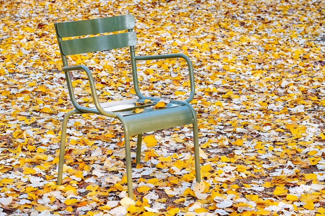 France, Paris, Luxembourg Garden in Autumn