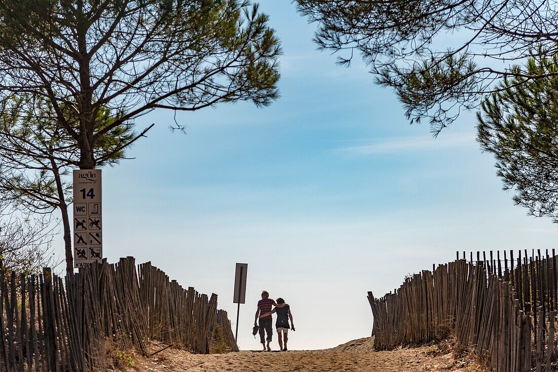 Frankreich, Herault, Agde, Paar spaziert am Strand unter Kiefern