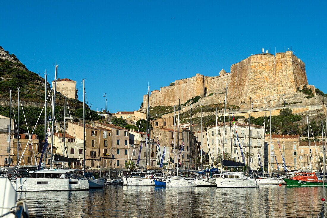 Frankreich, Corse du Sud, Bonifacio, der Jachthafen wird von der Bastion der Zitadelle überragt