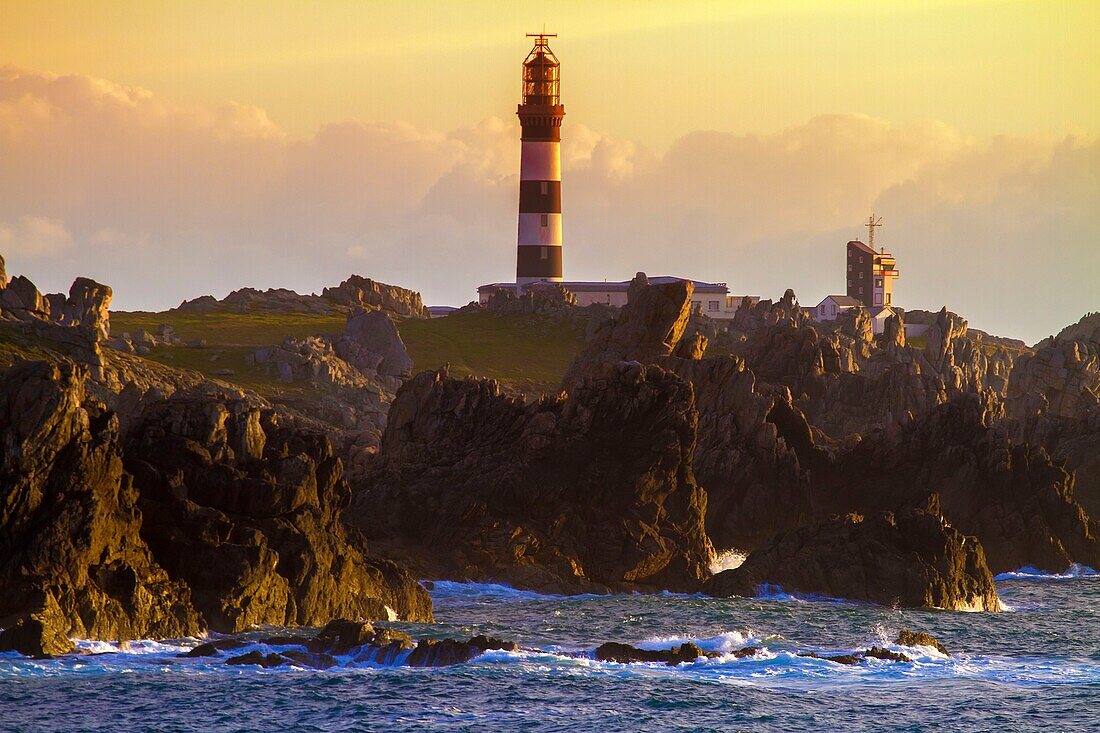 France, Finistere, Ponant islands, Armorica Regional Nature Park, Iroise Sea, Ouessant island, Biosphere Reserve (UNESCO), golden light on the Créac'h lighthouse