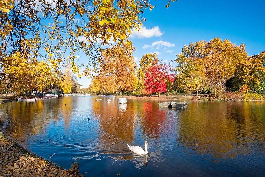 Frankreich, Paris, der Bois de Vincennes im Herbst, der Daumesnil-See