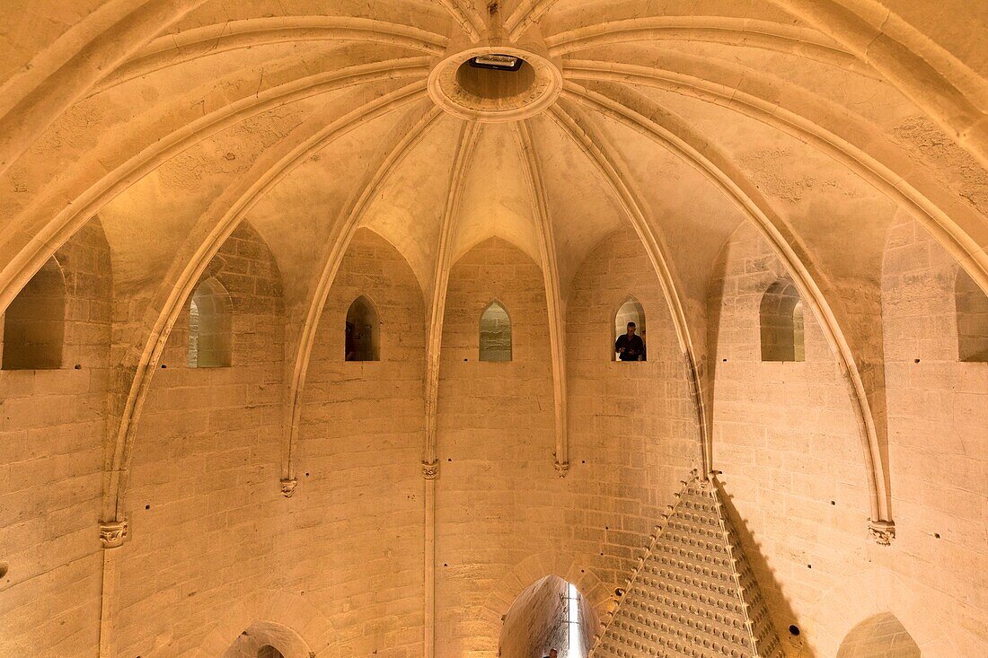 France, Gard, Regional Natural Park of Camargue, Aigues Mortes, the Constance Tower, the vault has twelve quarters