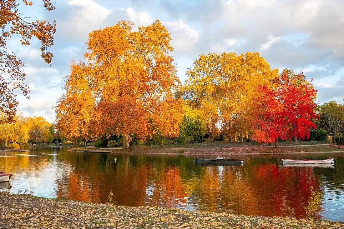 Frankreich, Paris, der Bois de Vincennes im Herbst, der Daumesnil-See