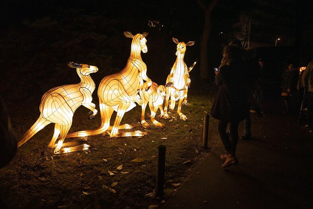 Frankreich, Paris, Jardin des Plantes, Erstes Lichterfest, Spezies im Prozess der Erleuchtung