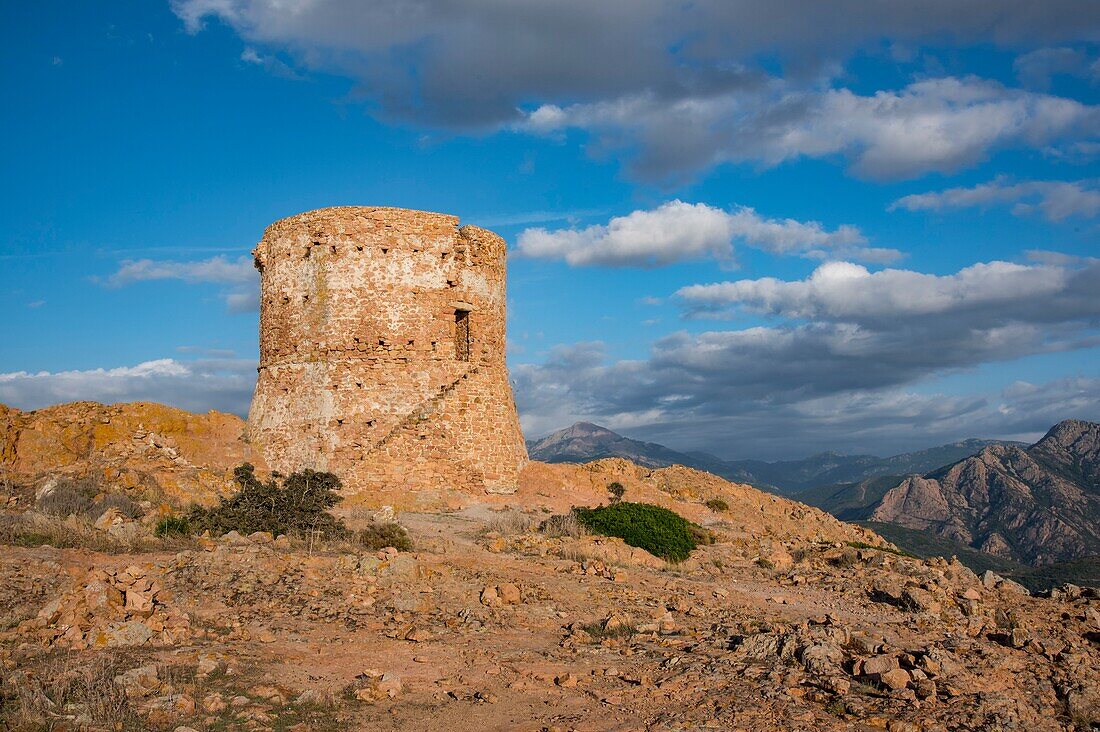 Frankreich, Corse du Sud, Porto, Golf von Porto von der UNESCO zum Weltkulturerbe erklärt, Wanderung zum Capo Rosso, an der Spitze dominiert der genuesische Turm von Turghiu 360 °