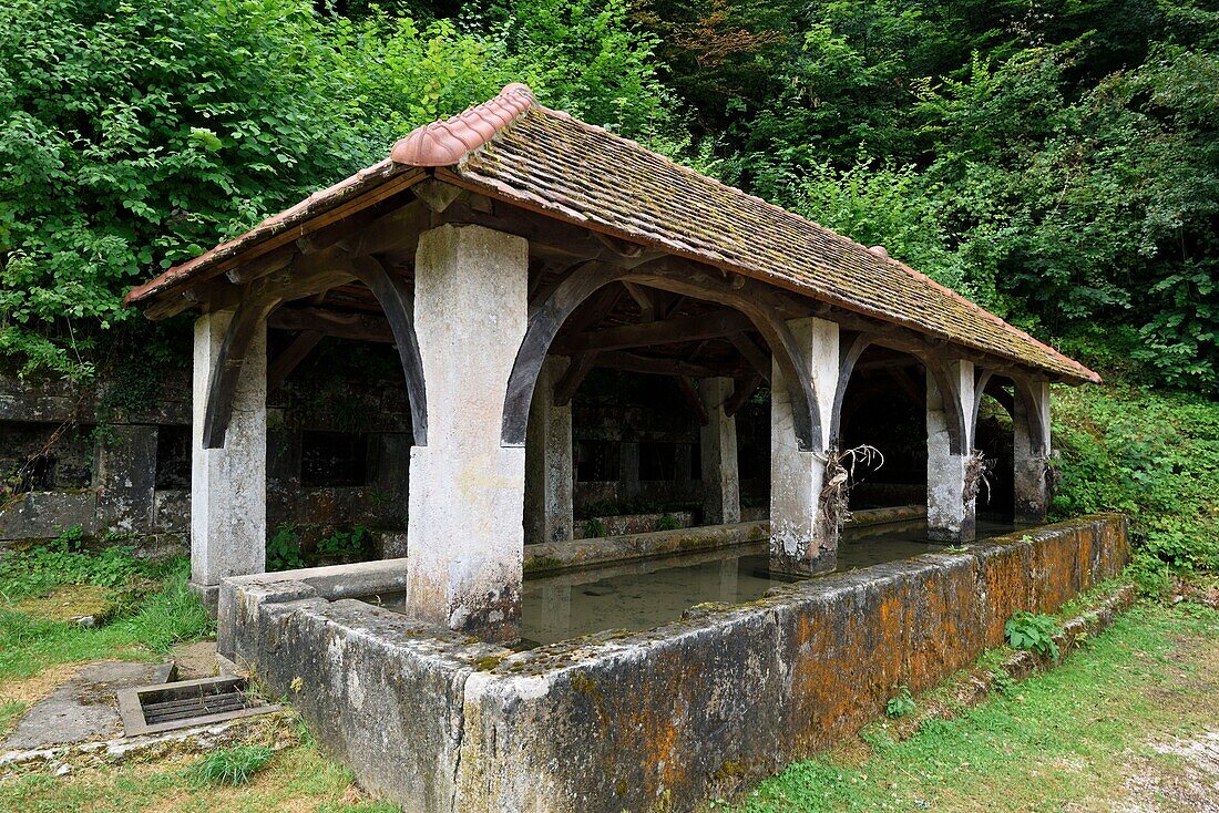 France, Territoire de Belfort, Saint Dizier l Eveque, fountain lavoir du Val, used to cure mental illnesses, baths