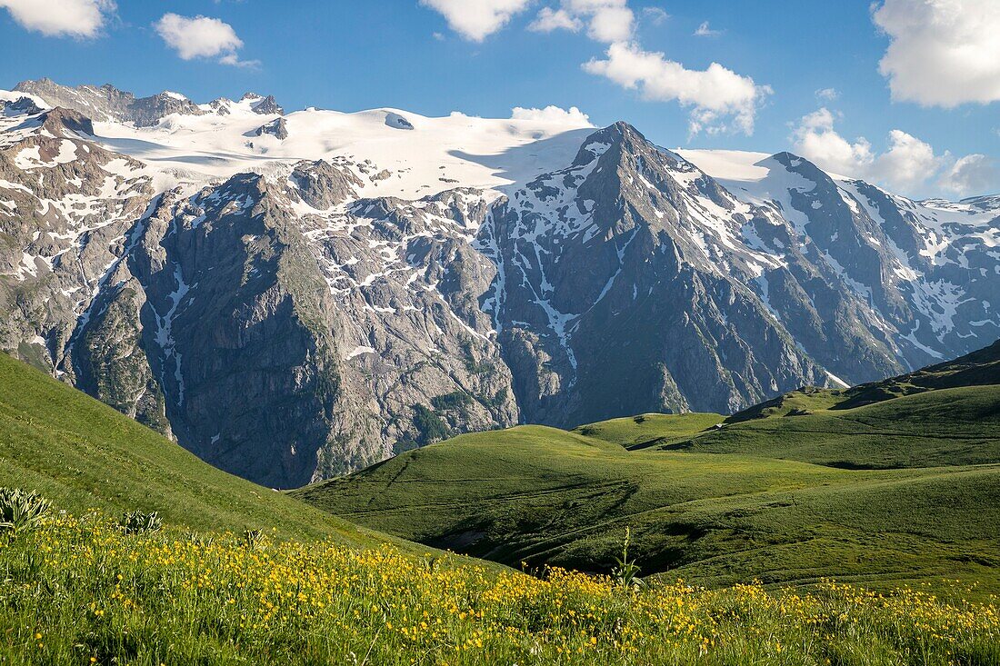 France, Hautes Alpes, Ecrins National Park, the Meije seen from the Emparis plateau
