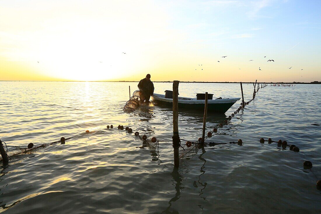 Frankreich, Bouches du Rhone, Regionaler Naturpark der Camargue, Saintes Maries de la Mer, Teich sagte der Imperial, Angeln