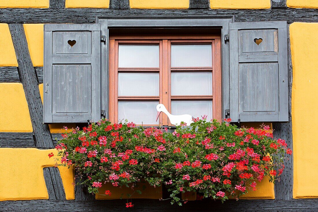 France, Haut Rhin, Route des Vins d'Alsace, Riquewihr labelled Les Plus Beaux Villages de France (One of the Most Beautiful Villages of France), half timbered house facade