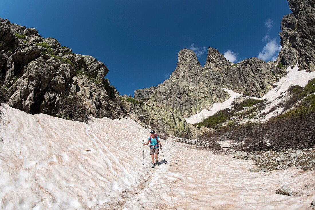 Frankreich, Haute Corse, Corte, Restonica-Tal, im regionalen Naturpark, Wanderung zu den Seen der Höhe, Durchgang der Neve auf dem Weg zwischen dem Melo-See und Capitello und Spitze der 7 Seen