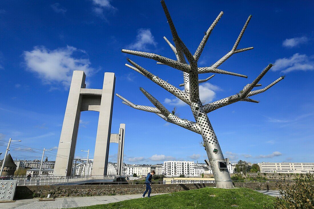 Frankreich, Finistere, Brest, die Brücke der Recouvrance und der emphatische Baum, Kunstwerk des Architekten Enric Ruiz Gel aus Barcelona