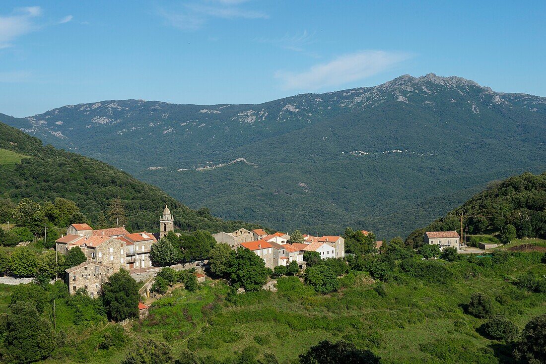 France, Corse du Sud, Alta Rocca, the village of Mela and the punta di u Diamante