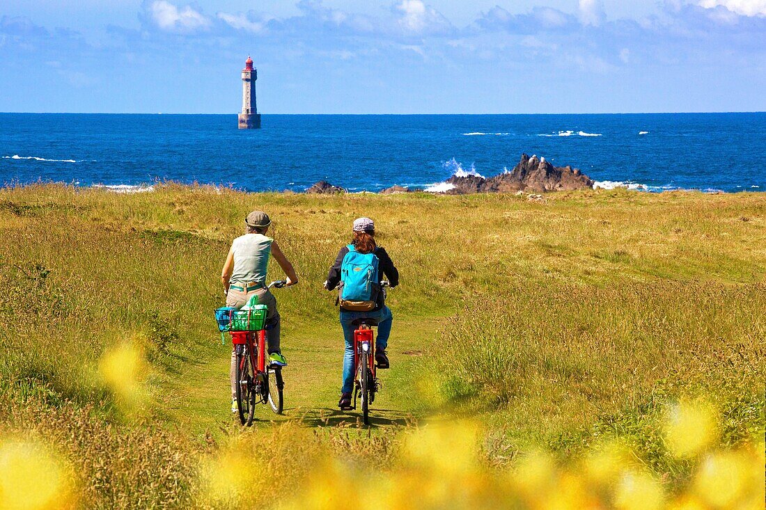 Frankreich, Finistere, Ponant-Inseln, Regionaler Naturpark Armorica, Iroise-Meer, Insel Ouessant, Biosphärenreservat (UNESCO), Radfahrer in Richtung des Leuchtturms von Jument im Frühling