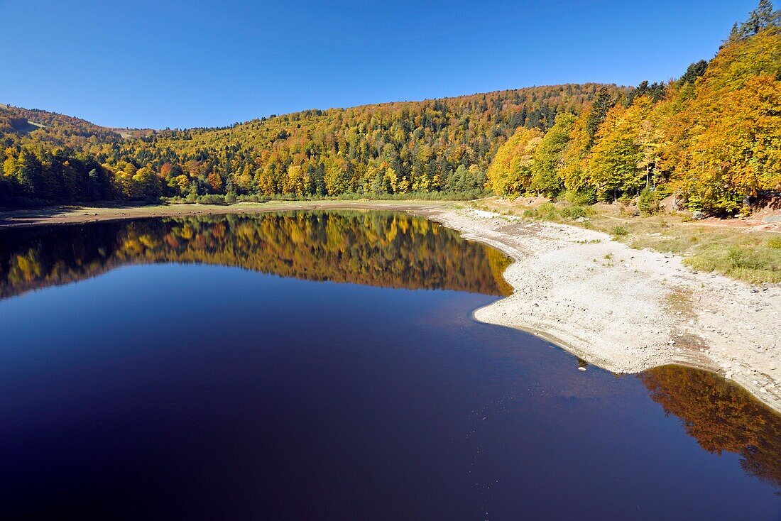 Frankreich, Haut Rhin, Hautes Vosges, unterhalb des Marksteins, Lauchsee, Herbst 2018, Wassermangel, Hitzewelle